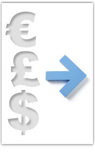 Loans in foreign currency